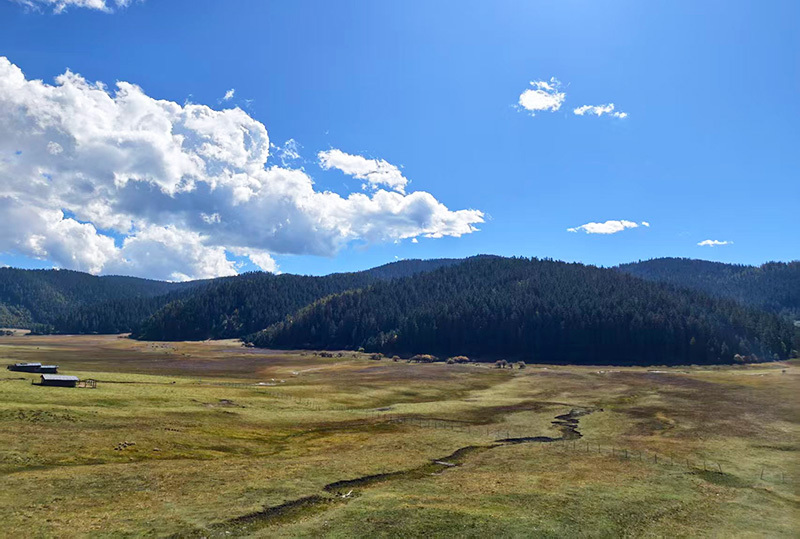 UPCoi, 体中心供图, 打造十大品 UPCoi, 体中心供图, 打造十大品